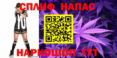 PSILOCYBIN Краснодар