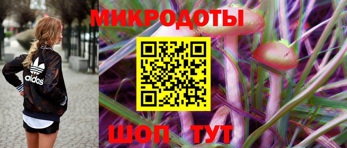 Псилоцибиновые грибы прущие грибы  Вход с VPN  Вичуга 