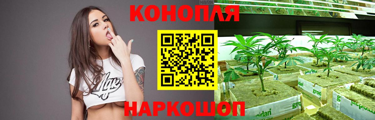 Конопля Ganja Вичуга